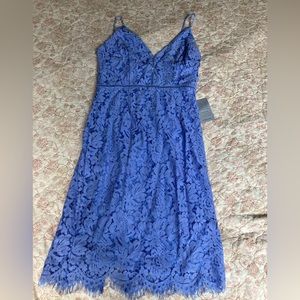 ASTR The Label Blue lace dress